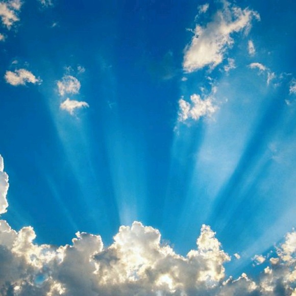 Meet your Posher, Kalyla - Picture 1 of 1